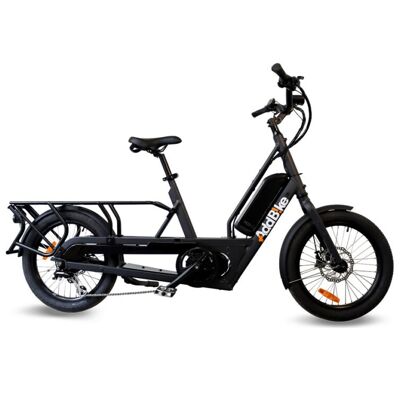 Bici da carico elettrica U-Cargo Lite