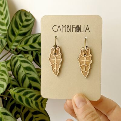 Pendientes Polly bronce