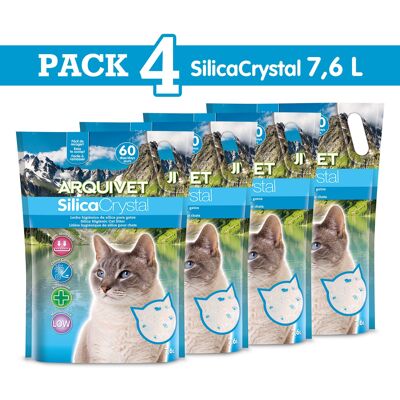 Pack 4 Silica 7,6l