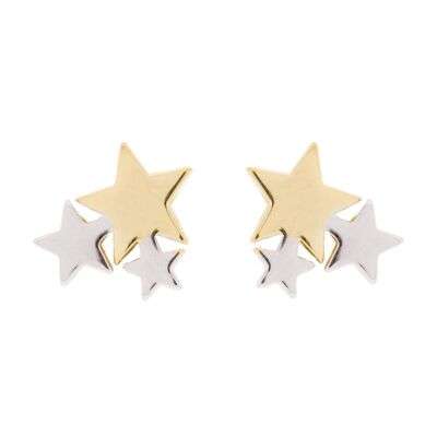GOLD PLATED / RHODIUM PLATED STAR EARRING D0280BDOPE1