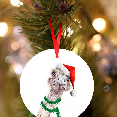 Tarquin, Ostrich, Emu, ceramic hanging Christmas decoration, tree ornament by Jane Bannon