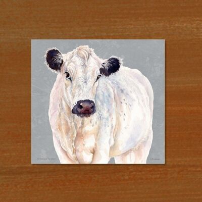 Edgar, vaca blanca británica, tabla de cortar de vidrio, imagen de Jane Bannon