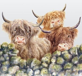 Village Gossip, Highland Cows, planche à découper en verre, image par Jane Bannon 2