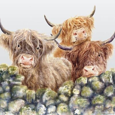 Village Gossip, Highland Cows, Tagliere di vetro, immagine di Jane Bannon