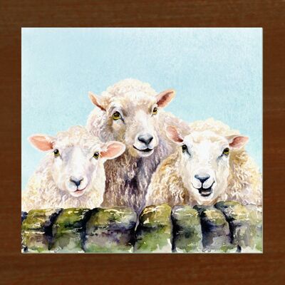 3 Schafe, Glasschneidebrett, Bild von Jane Bannon