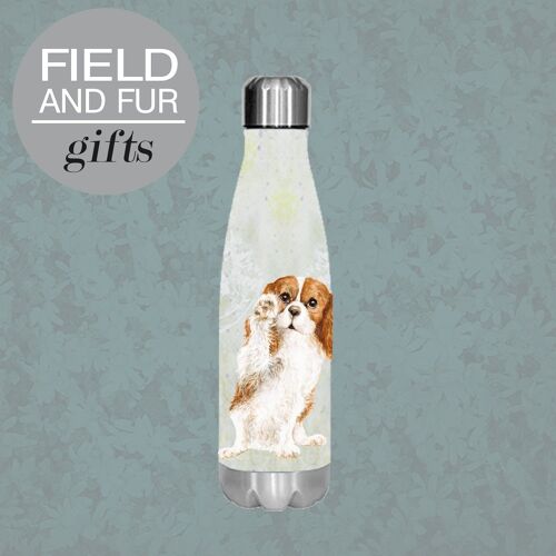 Jenny, Cavalier King Charles Spaniel , insulated water bottle, keeps your drink Hot or Cold