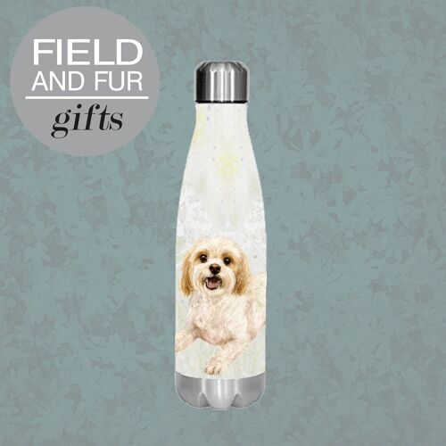 Charlie, Cavachon , insulated water bottle, keeps your drink Hot or Cold