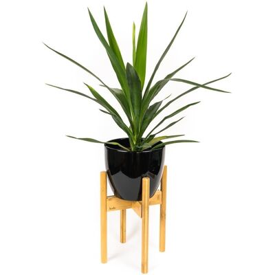 Support pour plantes en bambou