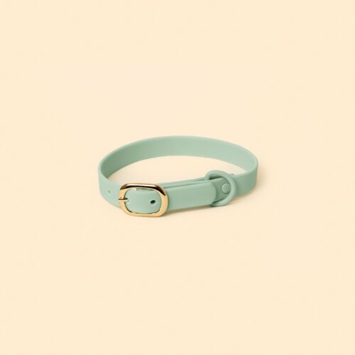 Classic Collar - Seafoam