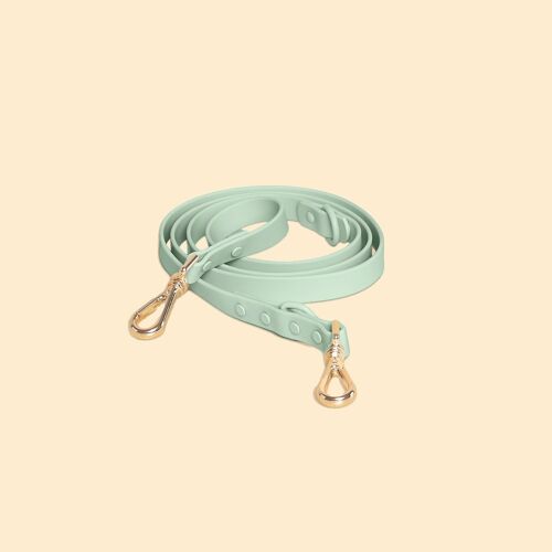 Double Clip Lead - Seafoam