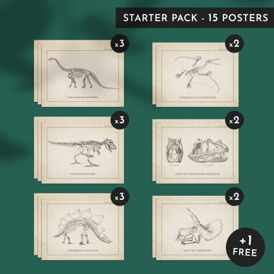Discovery pack - Dinosaurios - 15 carteles 30x40cm