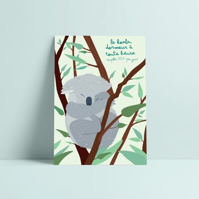 Postkarte Koala