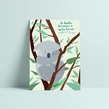 Carte postale koala 1