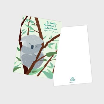 Carte postale koala 3