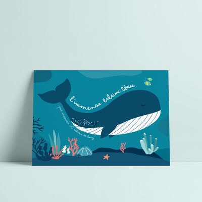 cartolina balena