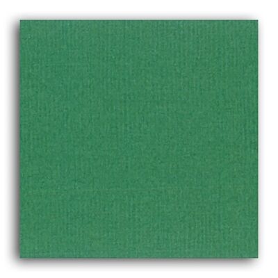 Papier uni Mahé 2 – 1 feuille 30,5x30,5 – Vert Sapin