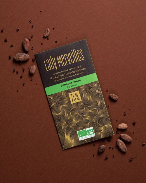 Chocolat noir 75% EQUATEUR bean to bar