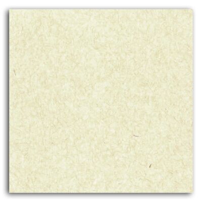 Mahé 2 plain paper - 1 sheet 30.5x30.5 - Speckled Ivory Kraft