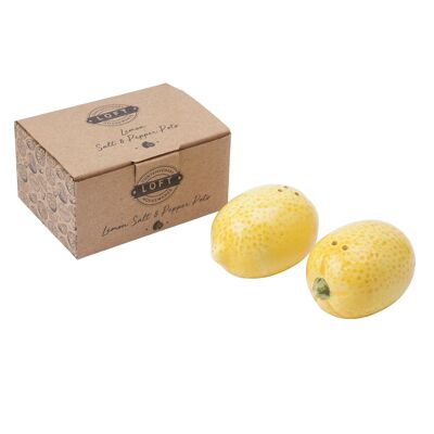 Loft Lemon Salt & Pepper Pot