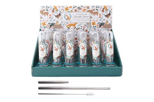 Fox and Fern 4 Assorted Reusable Straws