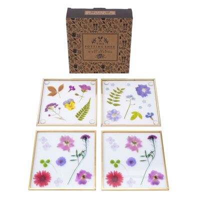 The Potting Shed Set of 4 Floral Glass Coasters