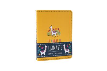 Ensemble de 2 carnets Live Happy « Llamaste » 2