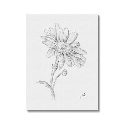 Pencil Daisy Single White Amanya Design Canvas_16"x20"