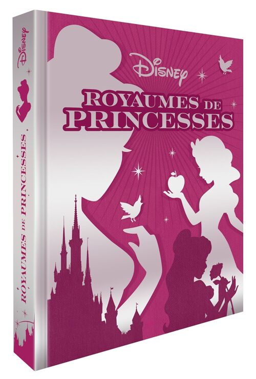 LIVRE - DISNEY PRINCESSES - Les chefs-d'oeuvre - Royaumes de Princesses