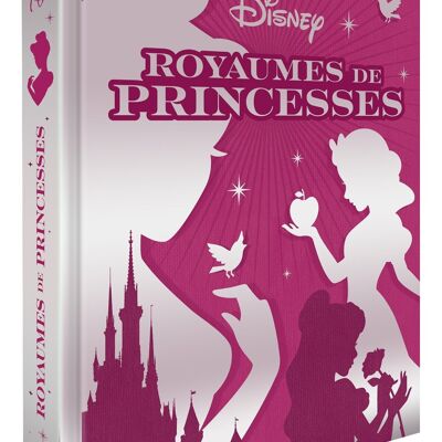 LIVRE - DISNEY PRINCESSES - Les chefs-d'oeuvre - Royaumes de Princesses