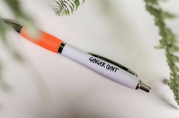 SWEARY PENS / Funny Rude Pens / Adults Only / Ginger C * nt 2