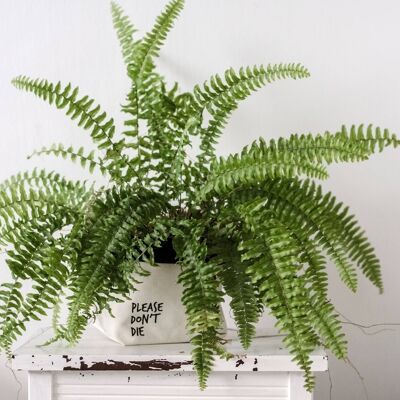 SWEARY PLANTS Please Don't Die / canvas plant pot holder