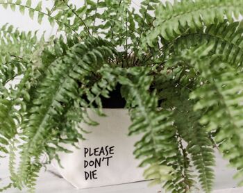 SWEARY PLANTS Please Don't Die / porte-pot en toile 2