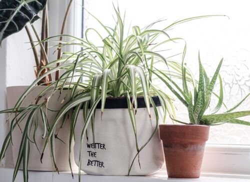 SWEARY PLANTS Wetter the Better / canvas plant pot holder