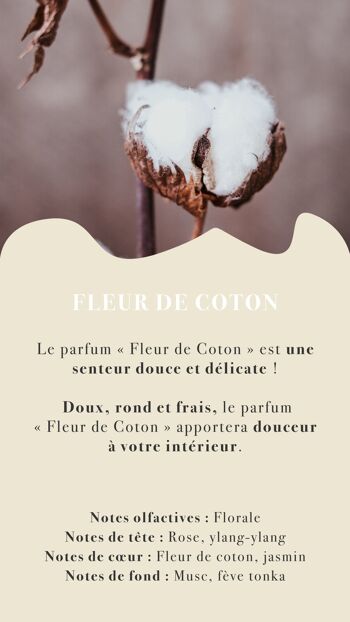 Bougie Fleur de Coton - Petite 2