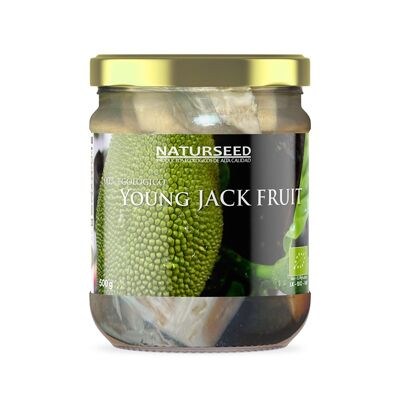 Jack Fruit 500 g