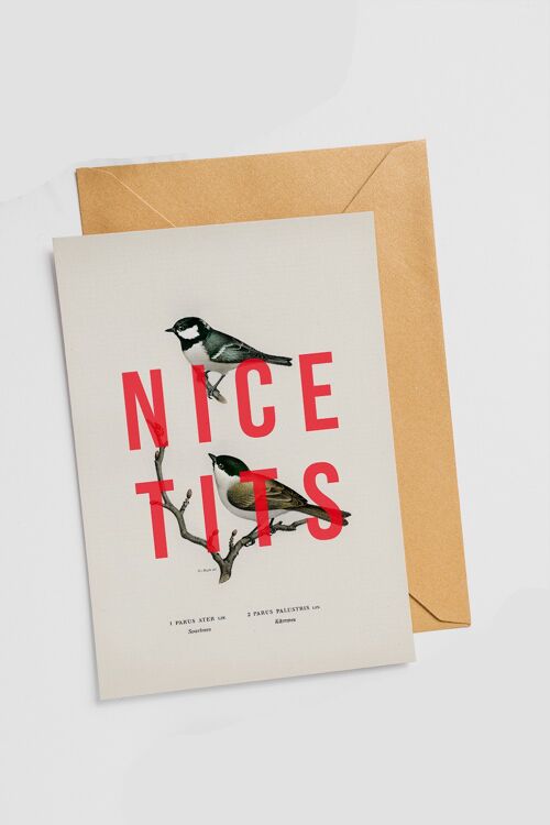 Nice Tits - Single Card