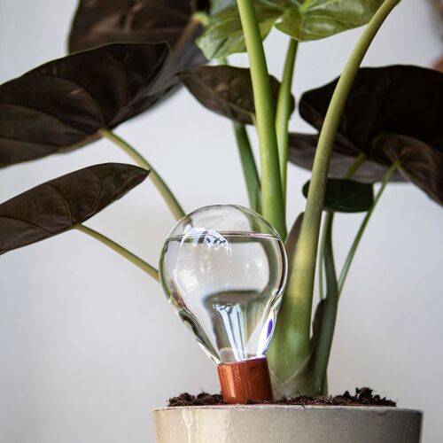 Natuurlijk bewateringssysteem voor kamerplanten x6 - Waterworks: keep your plants happy