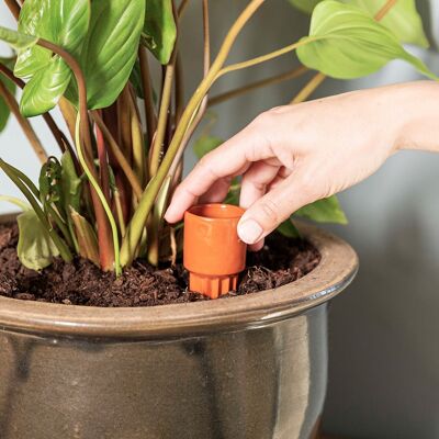 Natural Watering system for houseplants – just the cones x6 - Waterworks: keep your plants happy