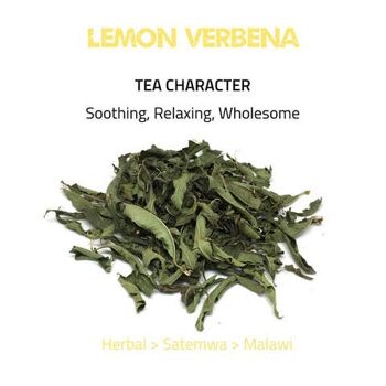 Verveine citronnée - Tisane | 25 sachets pyramidaux - FOODSERVICE 2