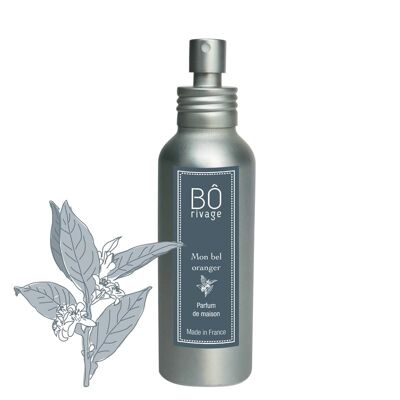 Bel Oranger - Hausnebel 100ml