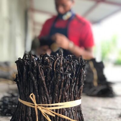 Schwarze Gourmet-Vanille aus Madagaskar 1 kg