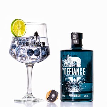 Defiance Premium Gin 2