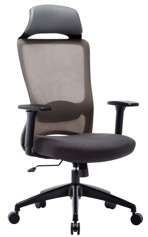 IWMH Eino Mesh Office Chair with Headrest-Charcoal Gray