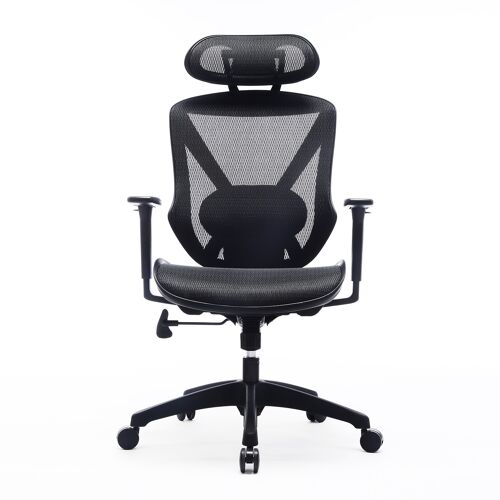 IWMH Riise Mesh Office Chair with Headrest