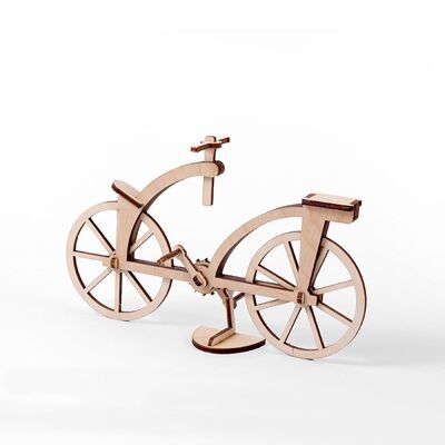 Bicicletta Leonardiana
