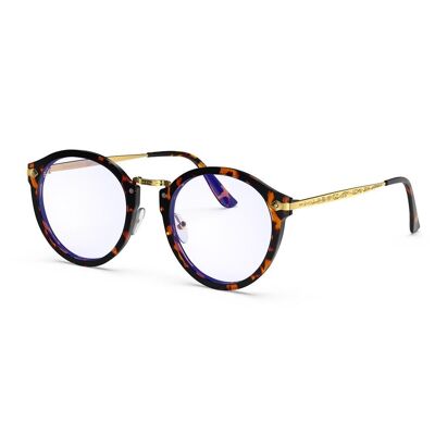 Hemmet® Vintage Raider B+ | Tortuga - Oro