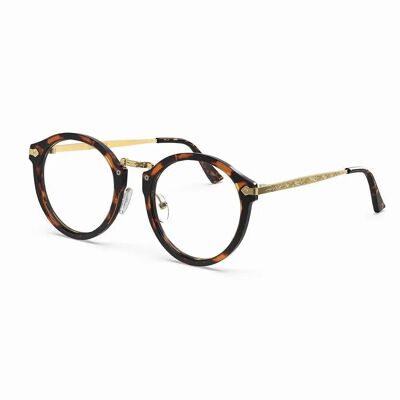 Hemmet® | Vintage Raider Tortoise - Gold