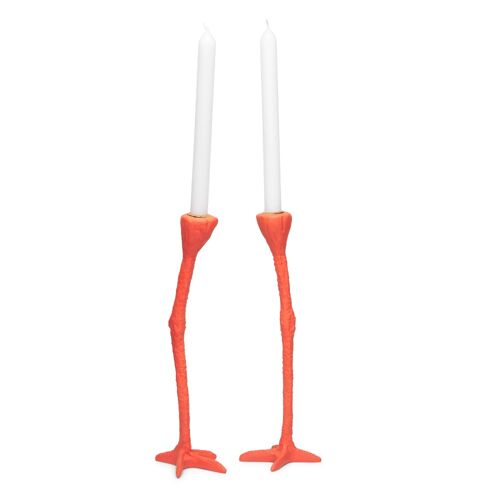Long legs Oranje