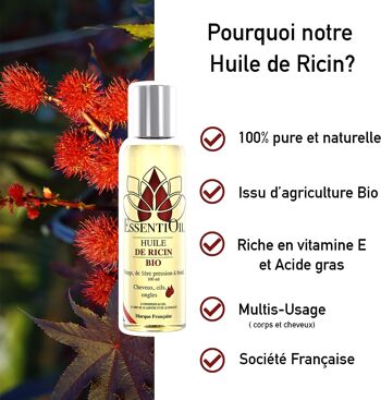 Huile végétale de ricin BIO 100mL 2