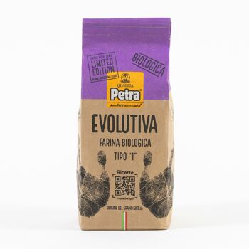 PETRA 0201 - Farine de blé tendre biologique à partir d'un mélange 100% italien de grains Evolutivo